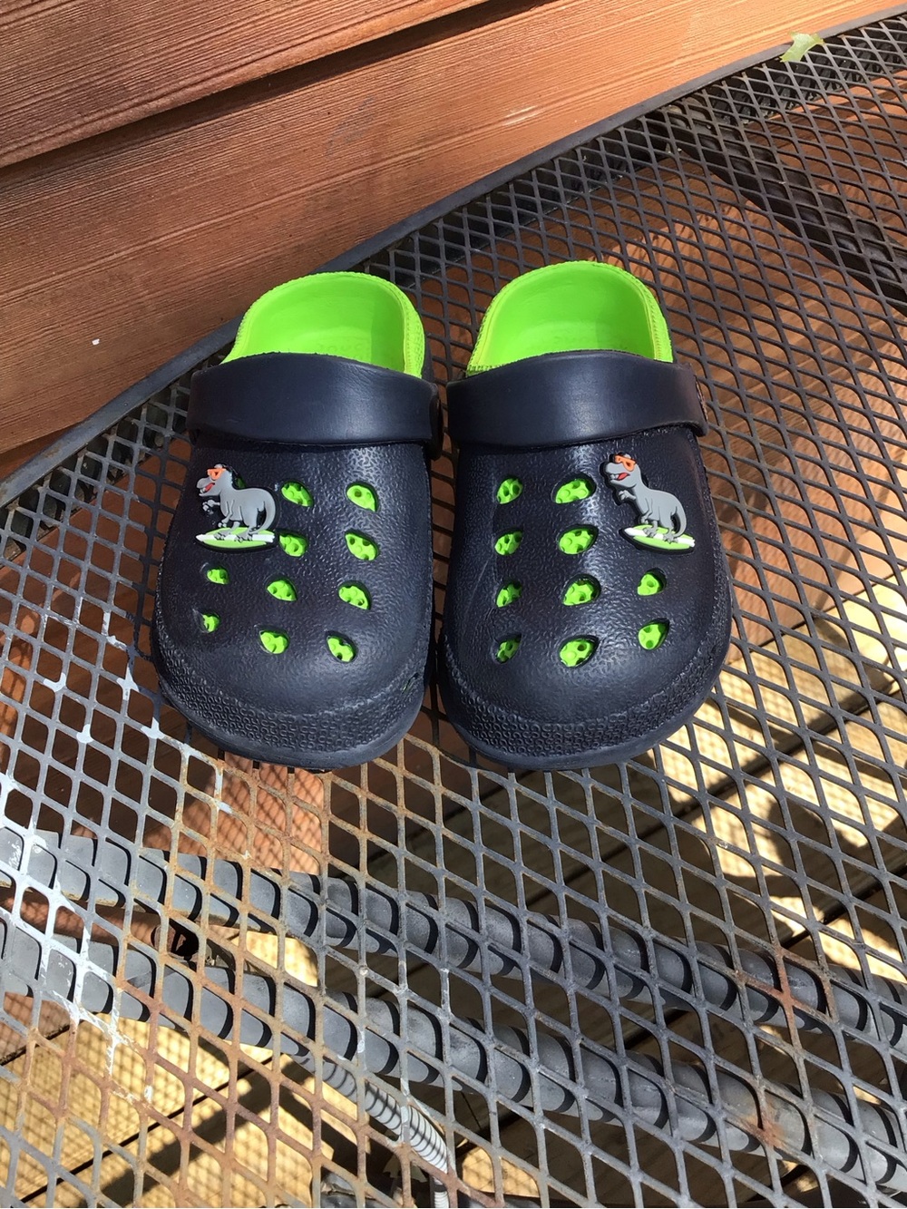 Capelli of New York Kids Clog/croc Shoes with Dino Charm-Toddler Size 8